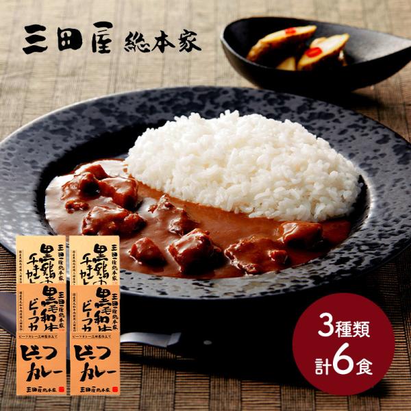 お歳暮 2025 三田屋総本家 カレー詰合せ ギフト 黒毛和牛のビーフカレー2 黒鶏のチキンカレー2...