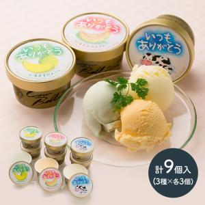 母の日 2026 スイーツ 北海道 いつもありがとうラベル 十勝 アイスクリーム 計9個 洋菓子 アイス メロン 贈り物 ギフト 送料無料 SN1003-0700