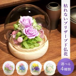 SOUP お供えガラスドームアレンジメント 枯れ...の商品画像