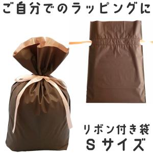 同梱専用 リボン付きラッピング袋 Sサイズ (幅170×高280×マチ80) 単品購入不可 プチギフト プレゼント お礼 バレンタイン 手渡し用 小分け袋