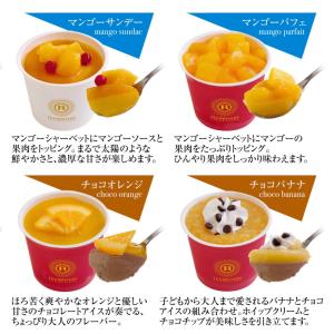 父の日ギフト プレゼント アイスクリーム ギフ...の詳細画像4