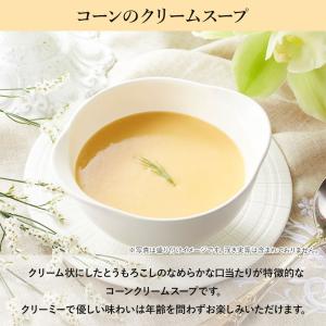 帝国ホテル ギフト スープ缶詰詰合せ 10缶入...の詳細画像3