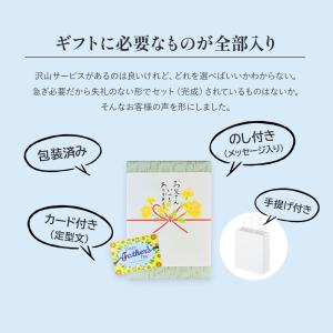 父の日 カタログギフト 父の日専用プレミアムカ...の詳細画像1