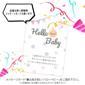 カタログギフト 出産祝い えらんで 赤ちゃん ...の詳細画像3