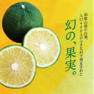 じゃばらウォーター 510ml 1ケース 24...の詳細画像2
