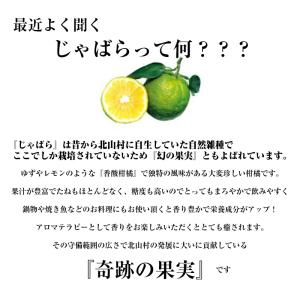 じゃばらウォーター 510ml 1ケース 24...の詳細画像5