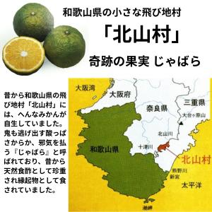 じゃばらの恵み ナルリッチ じゃばら 果皮 ド...の詳細画像3