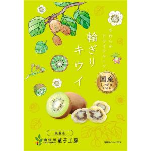 南信州菓子工房 国産 ひとくちキウイ 22g×1袋 国産 キウイ使用 ドライフルーツ