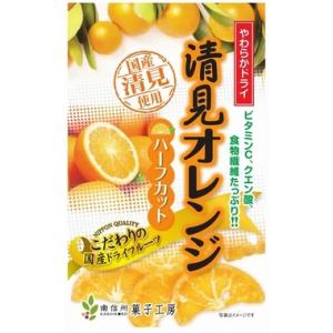 南信州菓子工房 輪ぎり塩レモン やわらかドライフルーツ 100個セット 南信州菓子工房 輪ぎり塩レモン やわらかドライフルーツ 100個セット