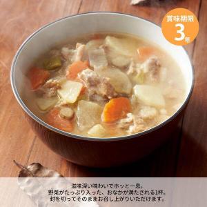 IZAMESI イザメシ まんぞく豚汁の詳細画像2