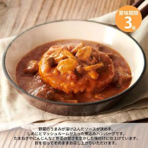 IZAMESHI イザメシ 煮込みハンバーグの詳細画像5