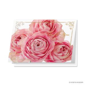 ダイゴー グリーティングカード   Thank you バラ N7754