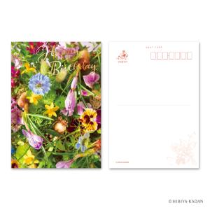 ダイゴー 日比谷花壇 ポストカード Happy birthday-1 N7756