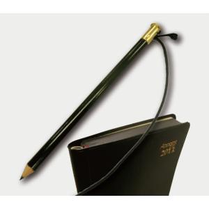 ダイゴー　S2010  手帳用鉛筆(2本入)