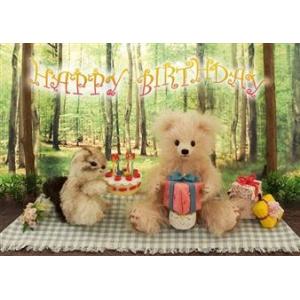 ダイゴー　S3057  sisa 3Dポストカード forest birthday 　SALE 商品｜giftnomura