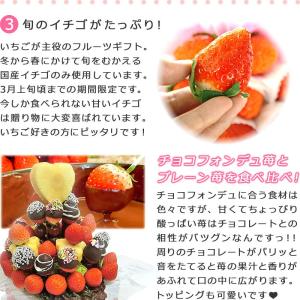 果物 ギフト いちごブーケ チョコミックス 誕...の詳細画像3