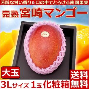 2018年5月1日から発送 予約 宮崎マンゴー大玉3Lサイズ...