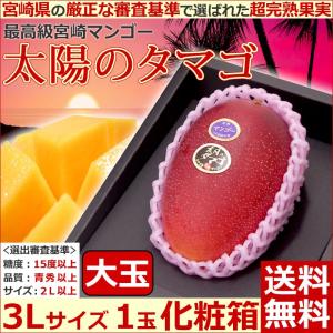 宮崎マンゴー 太陽のタマゴ 大玉3Ｌサイズ1玉化粧箱 完熟宮崎アップルマンゴー 送料無料 お中元 太陽のたまご マンゴー父の日｜giftpark