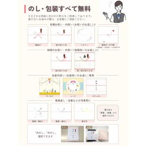花王 アタック抗菌EXバラエティギフト K・A...の詳細画像2