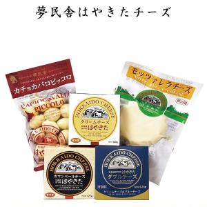 ギフト 2022 夢民舎 はやきた チーズ セット W 北海道 詰め合わせ 内祝い お祝い お返し