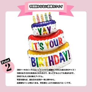 爆買 それいけアンパンマン! 2歳 3歳 誕生...の詳細画像3