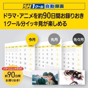 DMR-2W202 2TB ブルーレイディスク...の詳細画像4