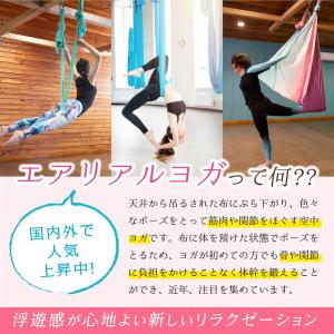 GiGant公式 エアリアルヨガ フルセット ...の詳細画像2