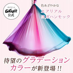 GiGant公式 エアリアルヨガ フルセット ...の詳細画像4