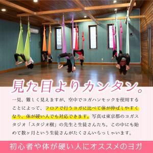 GiGant公式 エアリアルヨガ フルセット ...の詳細画像5