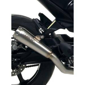 HUSQVARNA 701SUPERMOTO F Arrow フルエキゾースト ARROW アロー RACE-TECH スリップオンマフラー サイレンサー材質