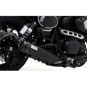 Arrow S1000XR 20-23 フルエキ Race-Tech アルミ (純正パニアケース