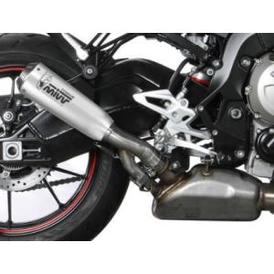 AKRAPOVIC（アクラポビッチ） 直送品 レーシングライン カーボン