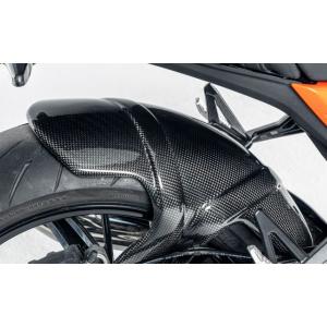 Ilmberger R12 NineT 24-25 リアフェンダー カーボングロッシー (艶あり) ...