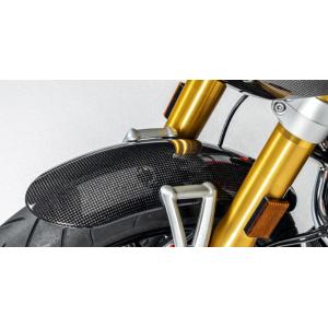 Ilmberger R12 NineT 24-25 フロントフェンダー カーボングロッシー (艶あり...