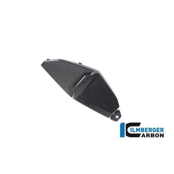 Ilmberger M1000XR 24-25 ロアーウイング 左 カーボングロッシー (艶あり) ...