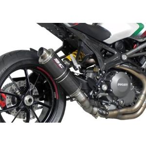 Arrow フルエキ コンペティション EVO チタン/カーボンエンド BMW