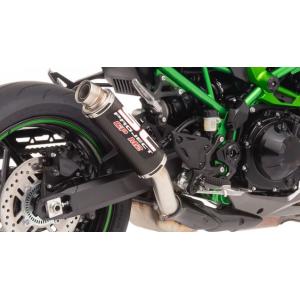 Z900 アクラポビッチ カーボンヒートシールド Kawasaki カワサキ AKRAPOVIC アクラポビッチ カーボンヒートシールド Z900
