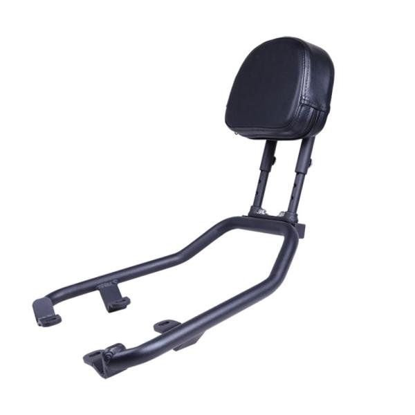 T-Rex Racing XSR900 2022-2025 パッセンジャーバックレスト N73-22...