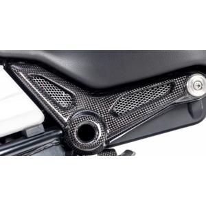 Ilmberger R nine T Racer 17-23 リアフレームカバー(左) RAL.01...