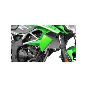 Agras AGRAS アグラス レーシングスライダー カラー：ブラック / ロゴ