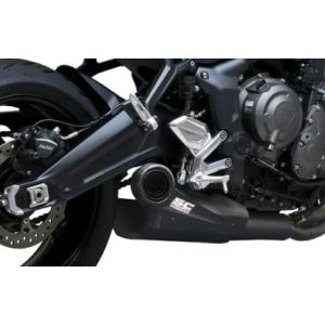 AKRAPOVIC アクラポビッチ フルエキゾースト レーシングライン