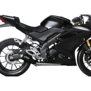 カワサキ ZZR400 ZZR600 1990-2008 DANMOTO カーボン スリップオン