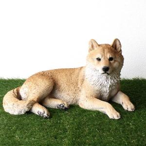 うつぶせ ジャーマンシェパード 76.5 x 38.5 41 cm (幅x奥x高) 本物
