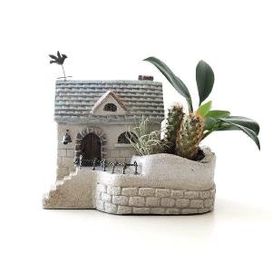 舟型ラウンドプランター 寄せ植え 鉢 約8号（穴有） : 花苗園芸店