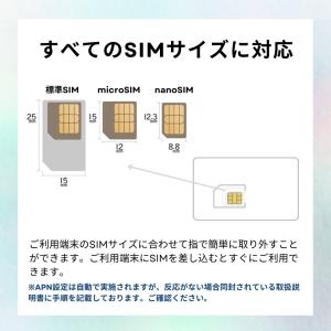 プリペイドsim simカード 30GB ソフ...の詳細画像4