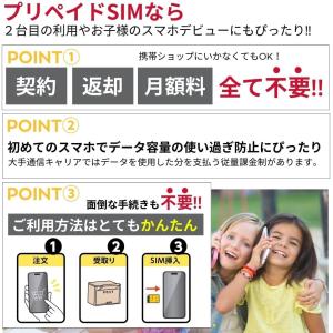 プリペイドsim simカード 30GB ソフ...の詳細画像5