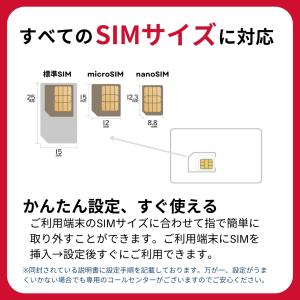 プリペイドsim ドコモ 無制限 15日 do...の詳細画像3