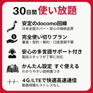 プリペイドsim ドコモ 無制限 30日 do...の詳細画像2