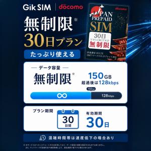 プリペイドsim ドコモ 無制限 30日 do...の詳細画像3