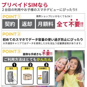 プリペイドsim SIMカード ドコモ 100...の詳細画像2
